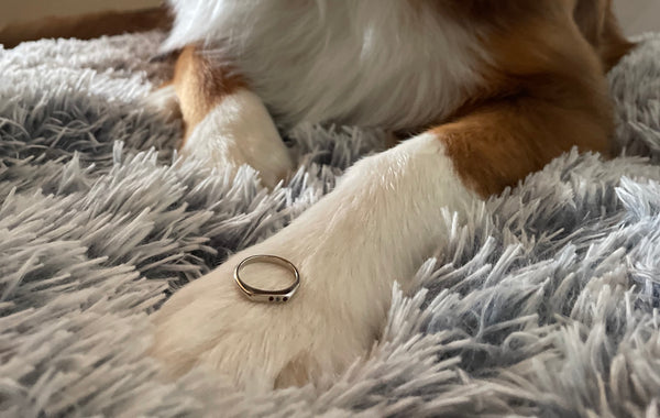 SYLVIA'S TINY SIGNET RING