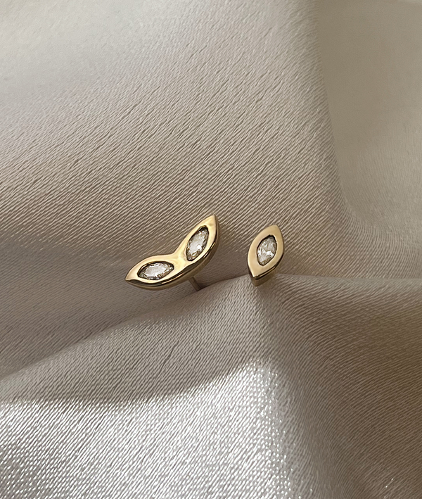 Diamond Guardian Earrings