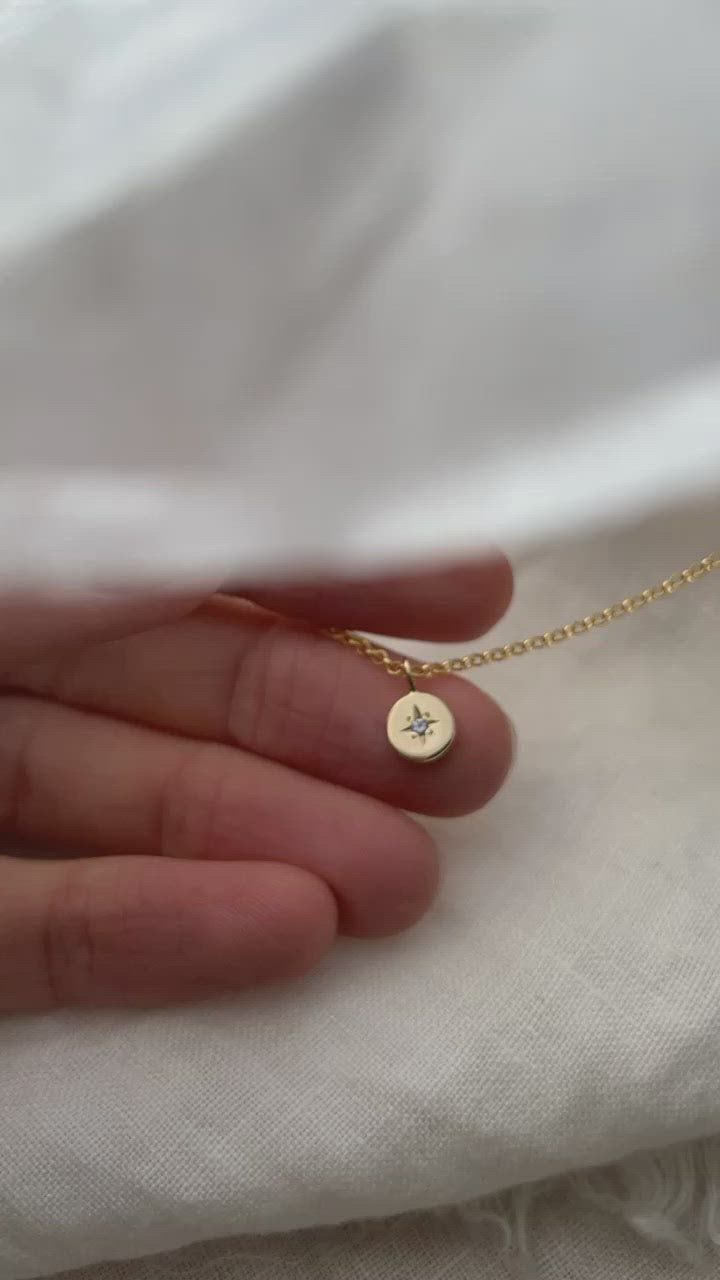 Load video: Tiny True North necklace